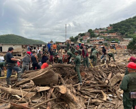 Reverol: civic-military union removes rubble and mud in Las Tejerías