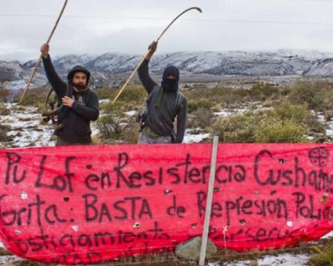 Río Negro: they will form the Federal Forces Command to combat the Mapuche conflict
