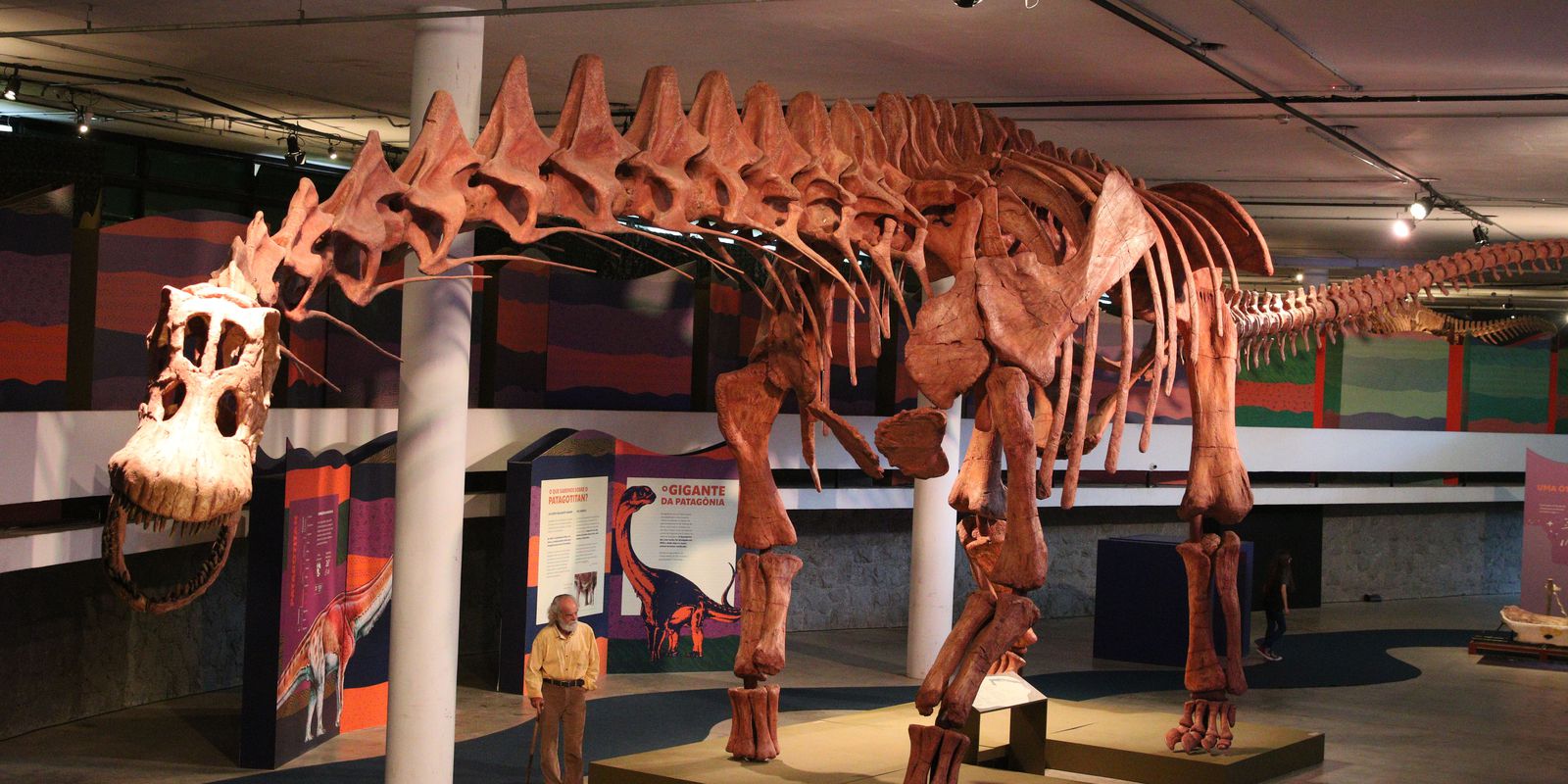 SP: exhibition shows replica of the largest dinosaur in the world