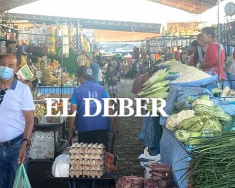 Santa Cruz: this Thursday and Saturday markets and supermarkets will open to supply the population