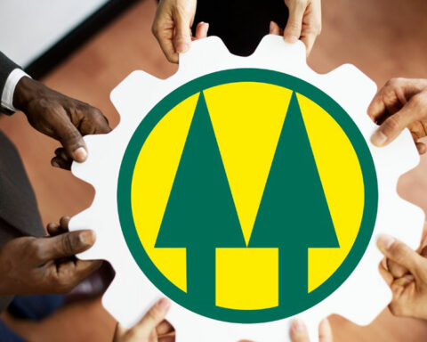 Savings and mutual aid: formula with benefits for cooperative members