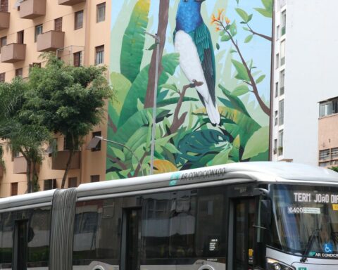 States may also offer free transport in the second round