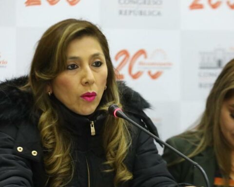 Subcommission will report on the constitutional complaint against Pedro Castillo on Friday the 14th