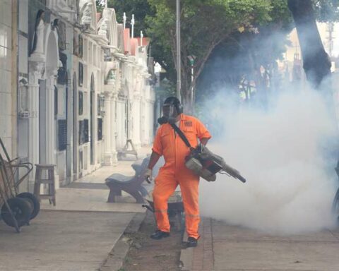 The Mayor's Office cleans the cemeteries and prepares massive visits
