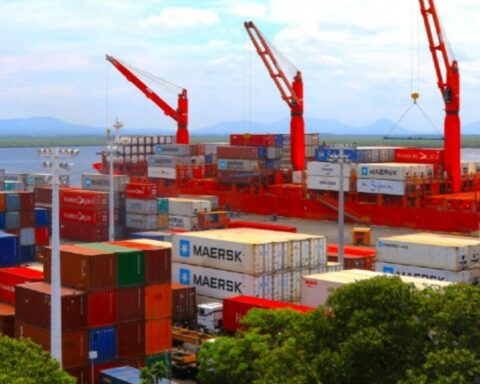 Exportaciones en Nicaragua. Foto: 19 Digital