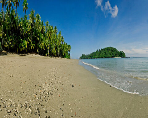 Isla Gorgona muelle Armada