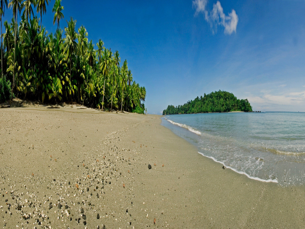 Isla Gorgona muelle Armada