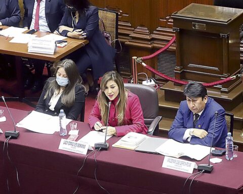 There are more constitutional complaints against Pedro Castillo in Parliament