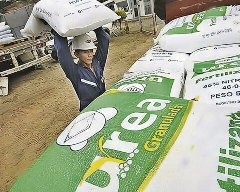 There is fertilizer to supply the national market for three months, says Midagri