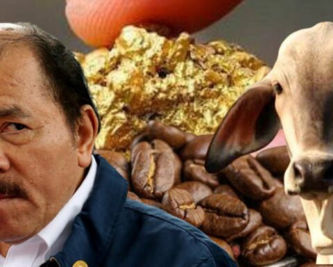 They anticipate that the US could sanction exports of coffee and beef from Nicaragua