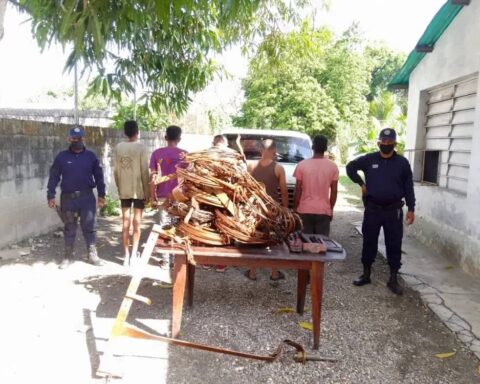 They capture three members of the band "Los Pica Cobre" in Cojedes