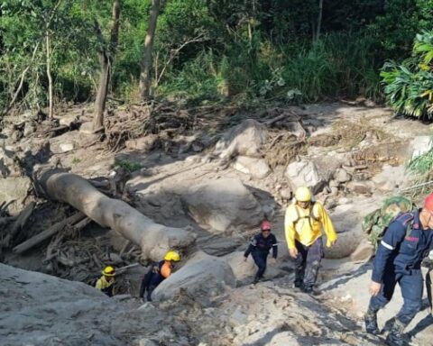 They carried out more than 300 land and 12 air rescues in El Castaño