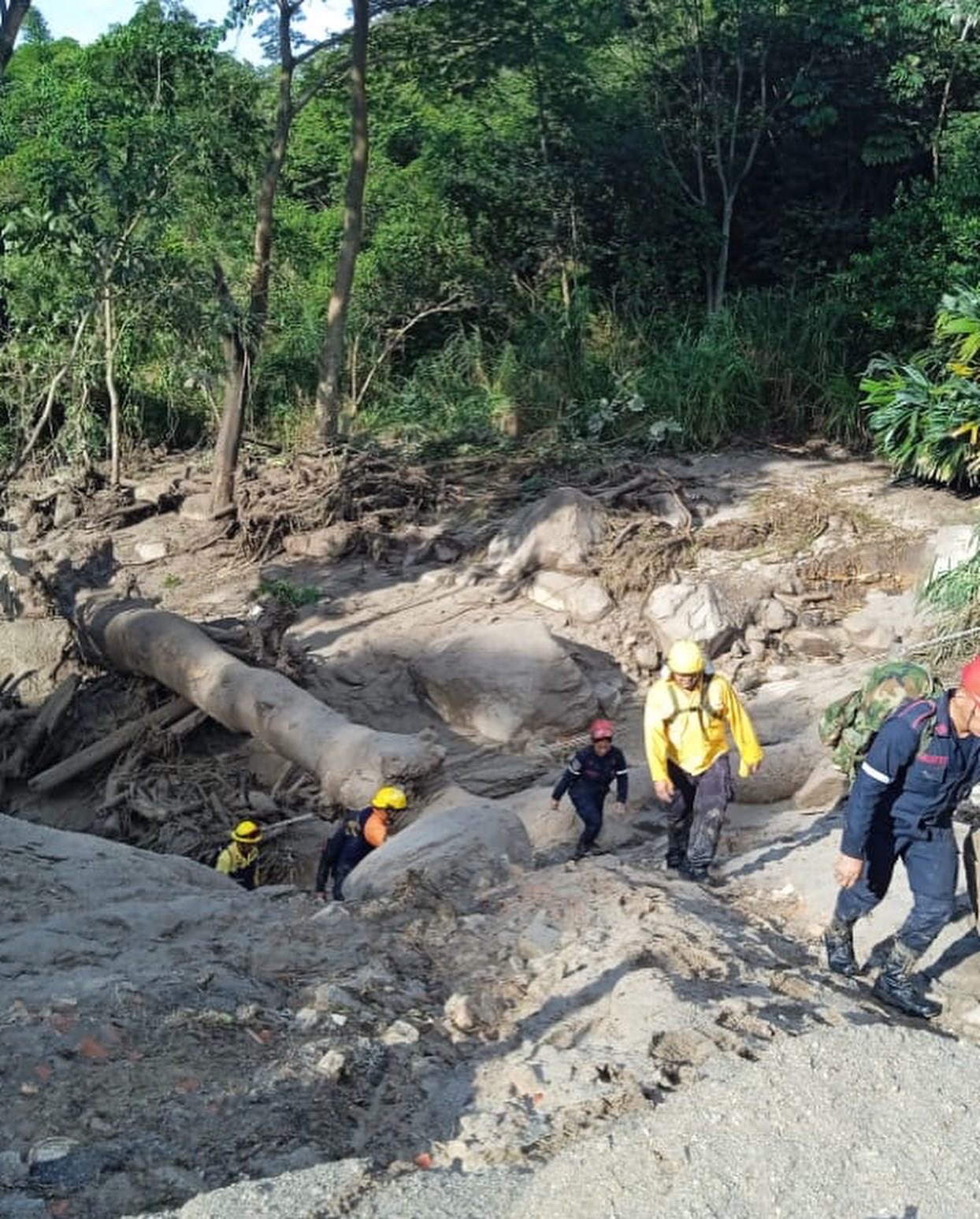 They carried out more than 300 land and 12 air rescues in El Castaño