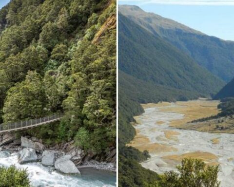 They offer a salary of $240 million a year to live on an island