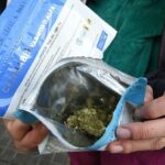 They present a project in Parliament so that tourists can buy state marijuana