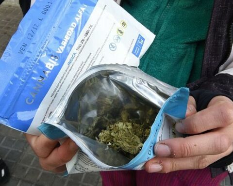 They present a project in Parliament so that tourists can buy state marijuana