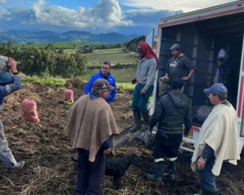 They will deliver economic benefits to 120,000 small producers