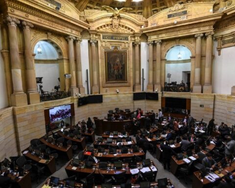 Total peace: they denounce a new monkey on the submission of criminal groups