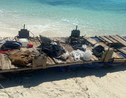 Balseros cubanos, migrantes