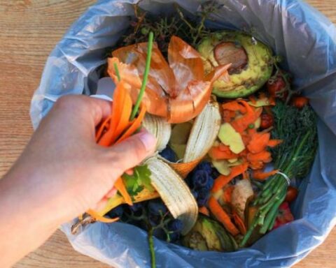 Vegetables, the foods that are most wasted in Colombia