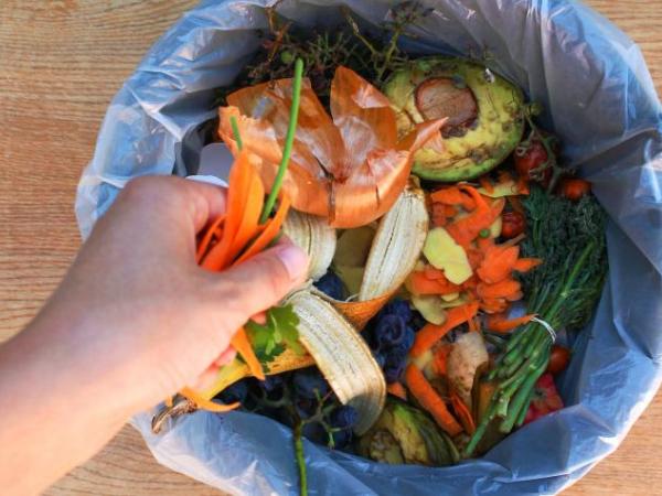 Vegetables, the foods that are most wasted in Colombia