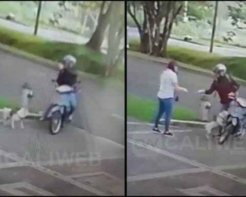 [Video] Even walking the dog can be stolen: insecurity overwhelmed in Cali