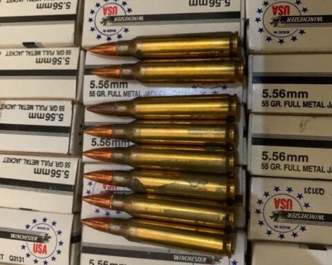 WhatsApp Image 2022 11 08 at 2.45.45 PM