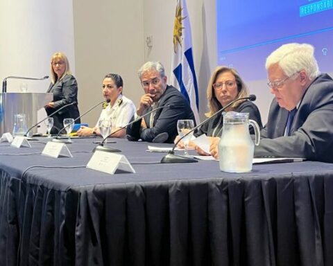 «8 out of 10 women have suffered a situation of violence throughout their lives»