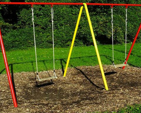 9-year-old boy dies hanged when playing swing on a tree in Tacna