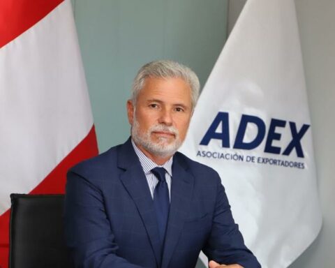 ADEX: Delay in exports generates millions in losses and would affect the image of the country as a world supplier