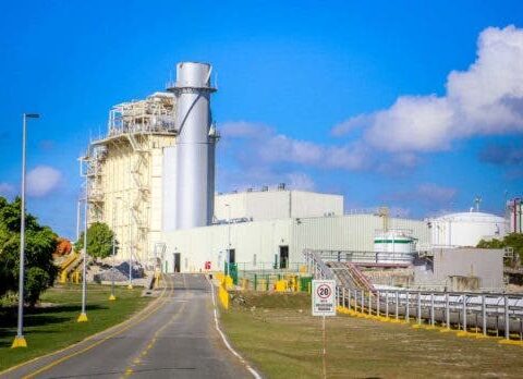 AES Andrés estará fuera de servicio durante 45 días por mantenimiento