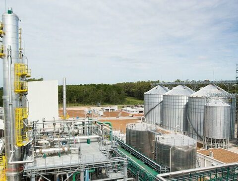 ALUR begins the process for a million-dollar investment in Paysandú: what it is about