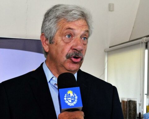 ALUR will export 30% of the national production of canola