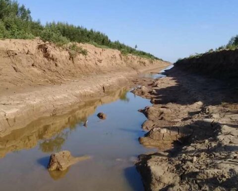 Alert environmental catastrophe in the Pilcomayo river due to drought and fish mortality