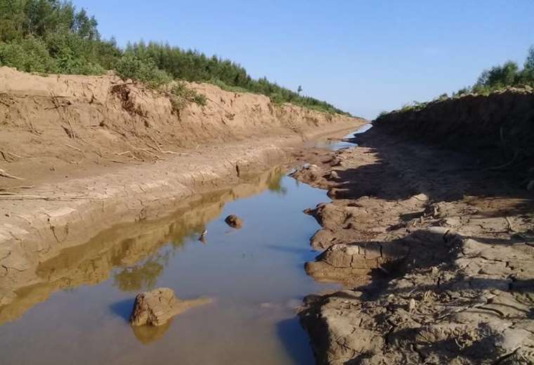 Alert environmental catastrophe in the Pilcomayo river due to drought and fish mortality