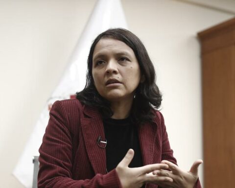 Anahí Durand and Lourdes Huanca met with the OAS High Level Group