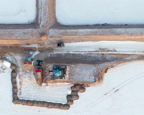 Argentina, Bolivia, Chile and the dream of an OPEC from the lithium triangle