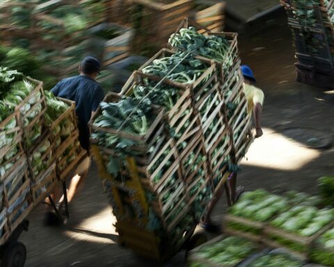 Blocking on roads reduces movement by 17% at Ceagesp