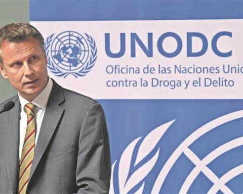 Bolivia has more than 30,000 ha of coca;  the EU regrets it and asks that it comply with the law