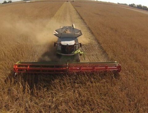 Brazil floods the world with commodities and puts pressure on prices