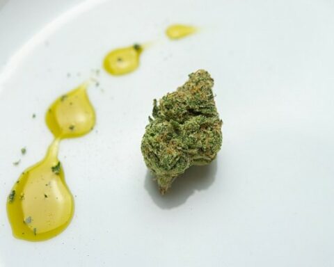 Brazilian health agency authorizes the entry of Uruguayan cannabis products