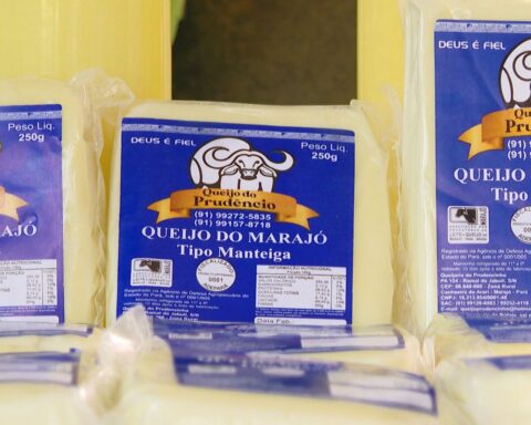 Buffalo cheese is a gastronomic attraction in Marajó