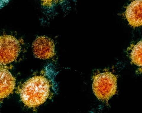 Butantan detects Ômicron sublines in São Paulo and Ribeirão Preto