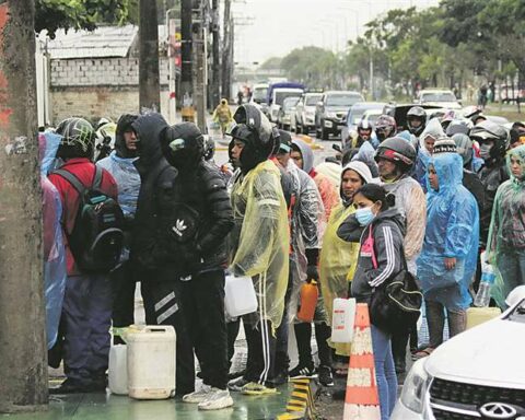 By fence to Santa Cruz: dairy sector loses Bs 8 million and farms do not load 800,000 chickens