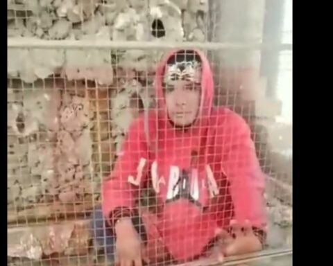 Chiclayo: They surprise a thief stealing parrots and lock him in a cage (VIDEO)