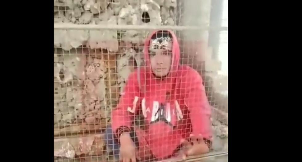 Chiclayo: They surprise a thief stealing parrots and lock him in a cage (VIDEO)
