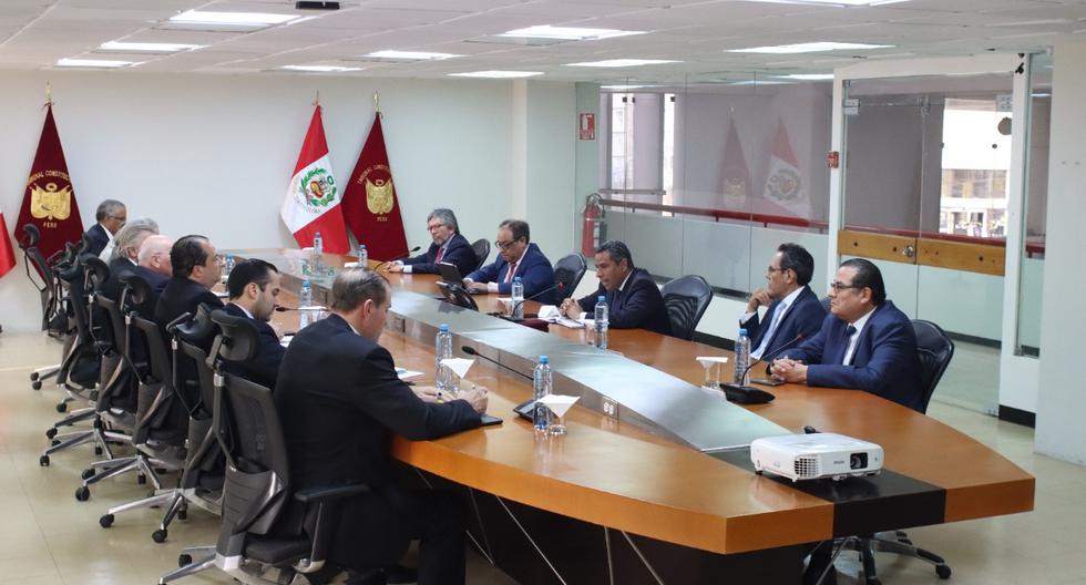 Constitutional Court met with the OAS High Level Group