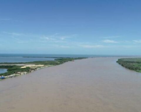 Cormagdalena elected a new board of directors and defined future projects