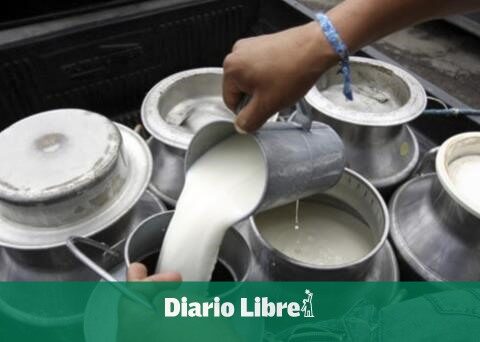 Dairy industry generates 4,300 jobs in the DR