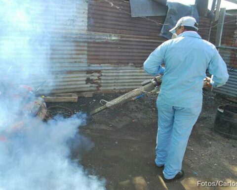 Dengue epidemic continues to rise: almost 80,000 cases in 2022